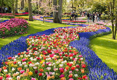 Bloemenpark de Keukenhof